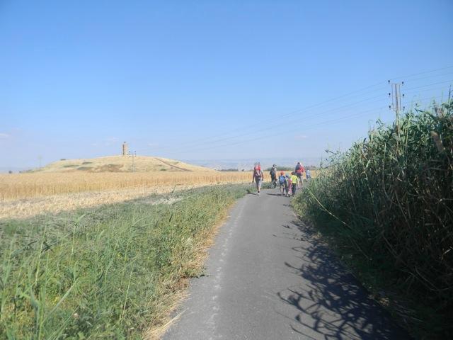 DayD - 116